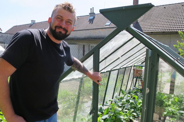 Florista Petr Kopáč pěstuje ve skleníku rajčata,  okurky i salát | foto: Jitka Slezáková,  Český rozhlas