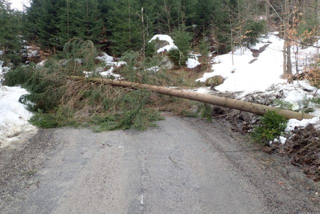 Spadlé stromy komplikují dopravu v Libereckém kraji | foto: HZS Libereckého kraje
