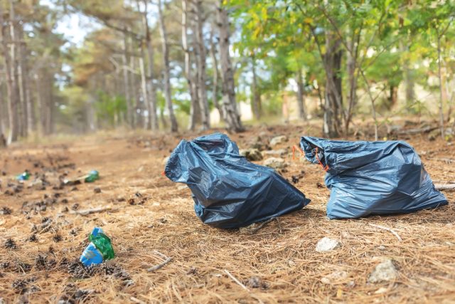 Krkonoše prochází dobrovolníci v rukavicích a s odpadkovými pytli  (ilustrační foto) | foto: Shutterstock
