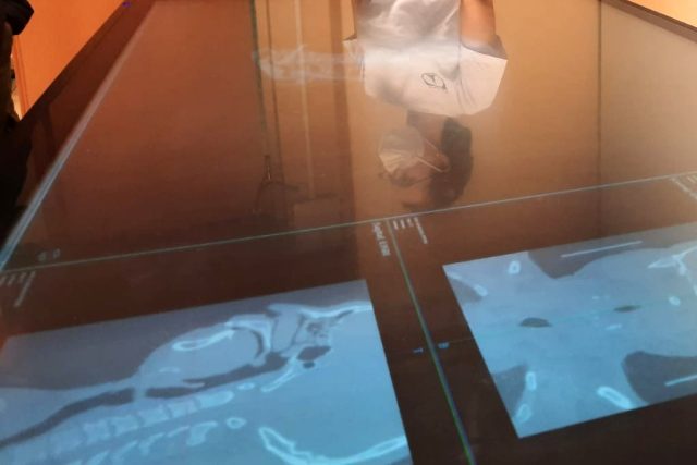 Studenti Fakulty zdravotnických studií na TUL se učí na virtuálních anatomických stolech | foto: Tomáš Mařas,  Český rozhlas