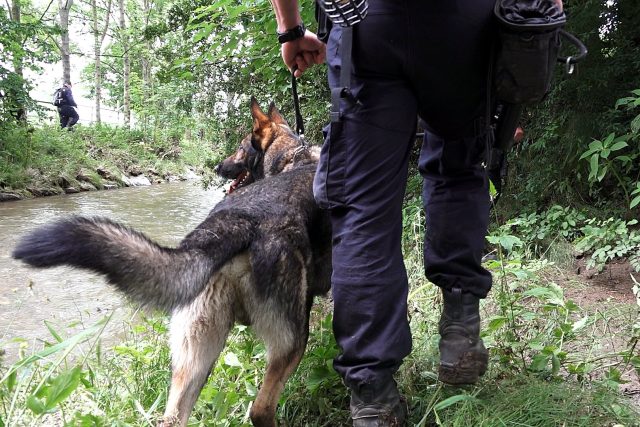 Policejní kynolog se služebním psem  (ilustr. obr.) | foto: Policie ČR