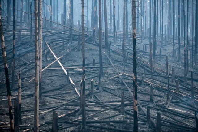Hřensko - požár v červenci 2022 | foto: René Volfík,  iROZHLAS.cz